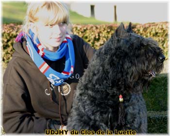 Elevage du CLOS DE LA LUETTE - COPYRIGHT DEPOSE